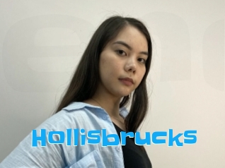 Hollisbrucks