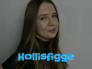 Hollisfigge