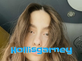 Hollisgarney