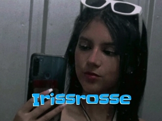 Irissrosse