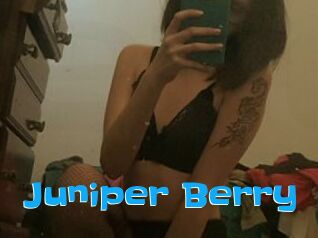 Juniper_Berry