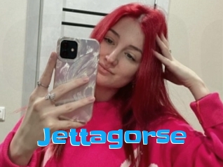 Jettagorse