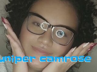 Juniper_camrose