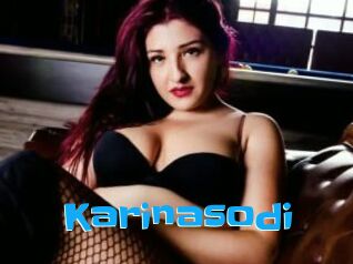 Karinasodi