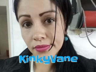 KinkyVane