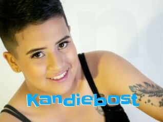 Kandiebost