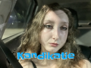 Kandikatie