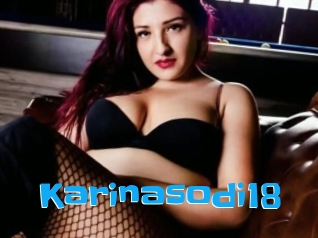 Karinasodi18