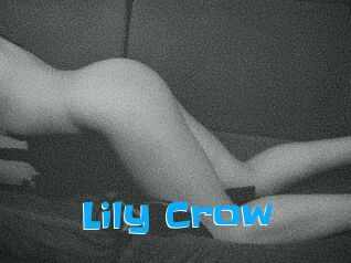 Lily_Crow