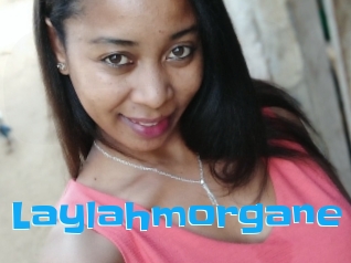 Laylahmorgane