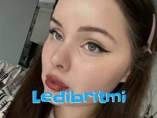 Ledibritmi