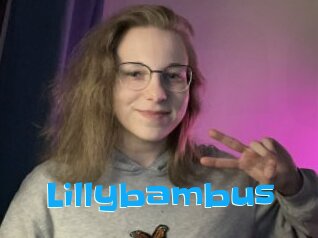 Lillybambus