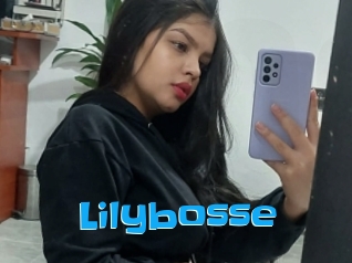 Lilybosse