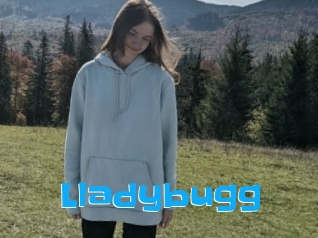 Lladybugg