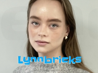 Lynnbricks