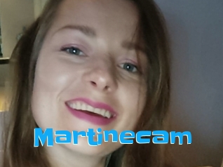 Martinecam