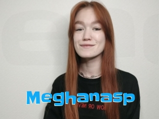 Meghanasp