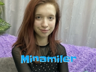 Minamiler