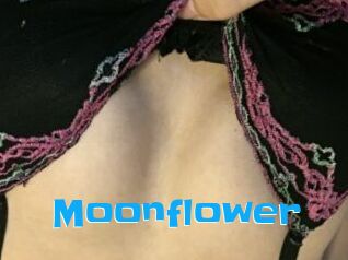 Moonflower