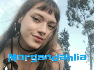 Morgandahlia