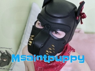 Msaintpuppy