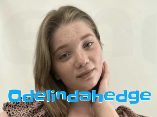 Odelindahedge