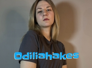 Odiliahakes