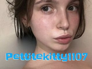 Pettitekitty1107