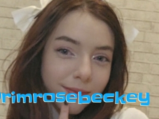 Primrosebeckey