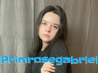 Primrosegabriel