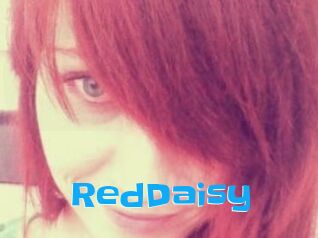 RedDaisy