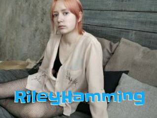 RileyHamming