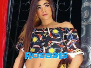 Rosasts