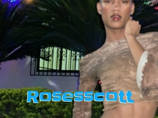 Rosesscott