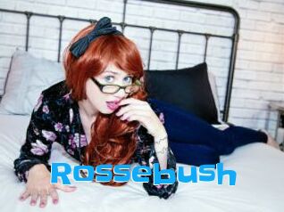 Rossebush