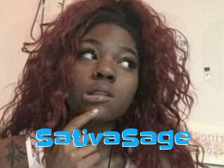 Sativa_Sage