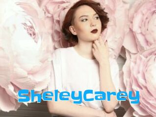 SheleyCarey