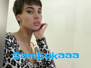 Sambukaaa