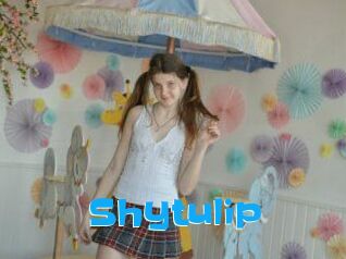 Shytulip