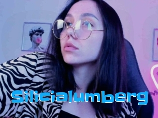 Silicialumberg