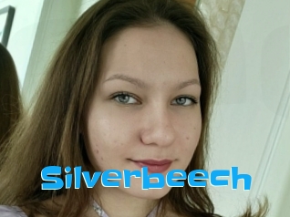 Silverbeech