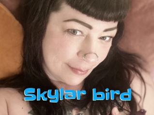 Skylar_bird