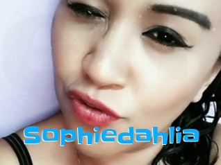 Sophiedahlia