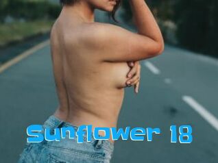 Sunflower_18