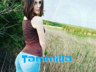 Tammilla_