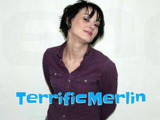 TerrificMerlin