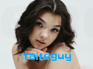 Taiteguy