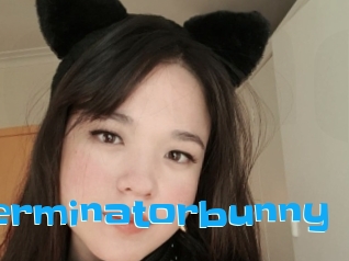 Terminatorbunny