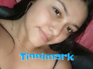 Tinnimark