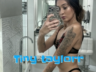 Tiny_taylorr